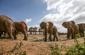 12 Day Kenya Tour - Masai Mara, Amboseli and Tsavo