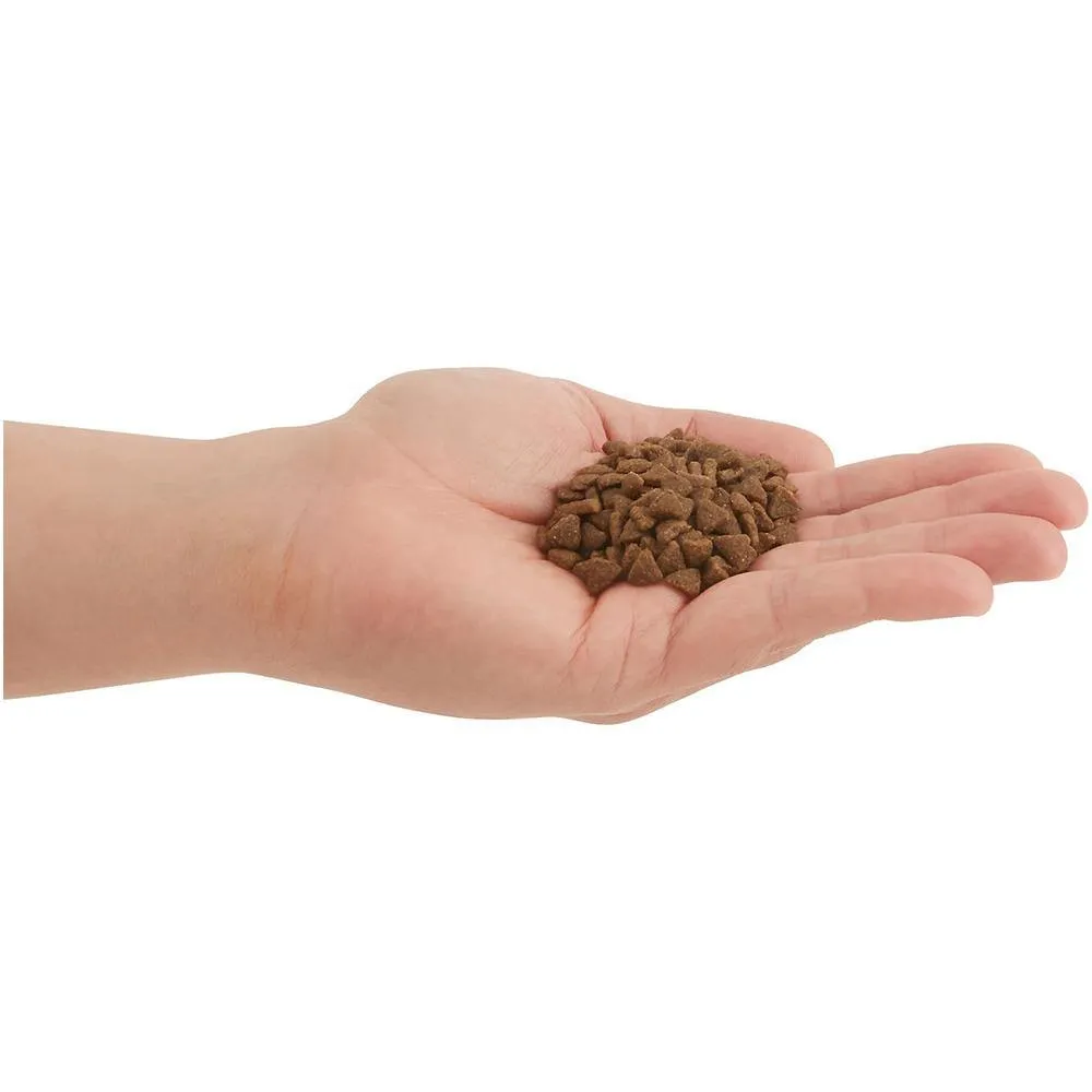 ACANA First Feast Dry Kitten Food