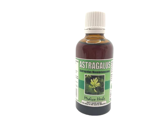 Astragalus Drops (Astragalus Membranaceus) 50ml