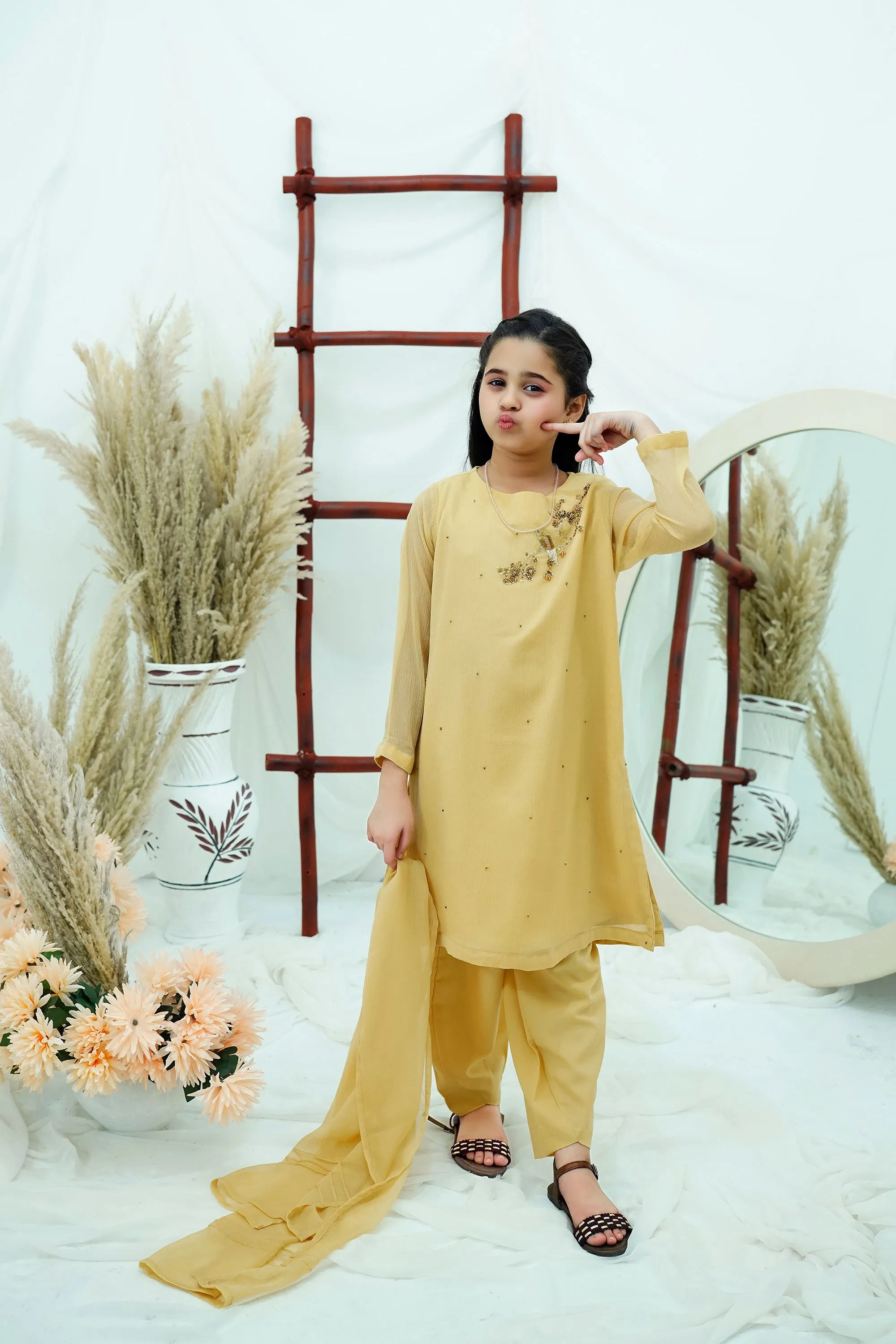 Beige Embroidered Chiffon