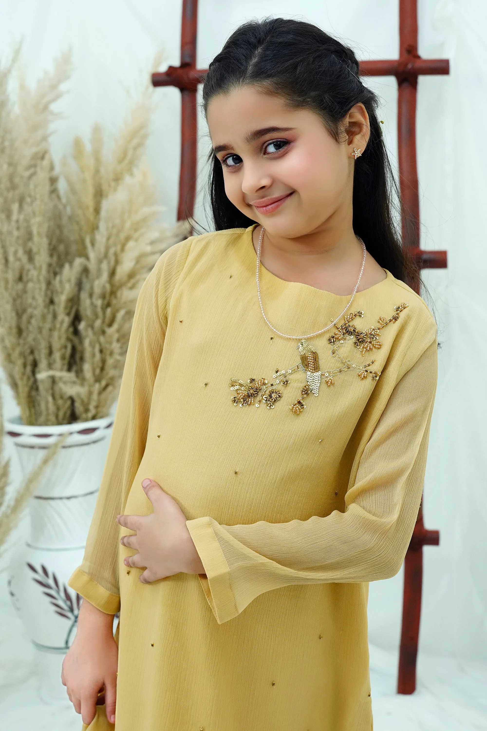 Beige Embroidered Chiffon