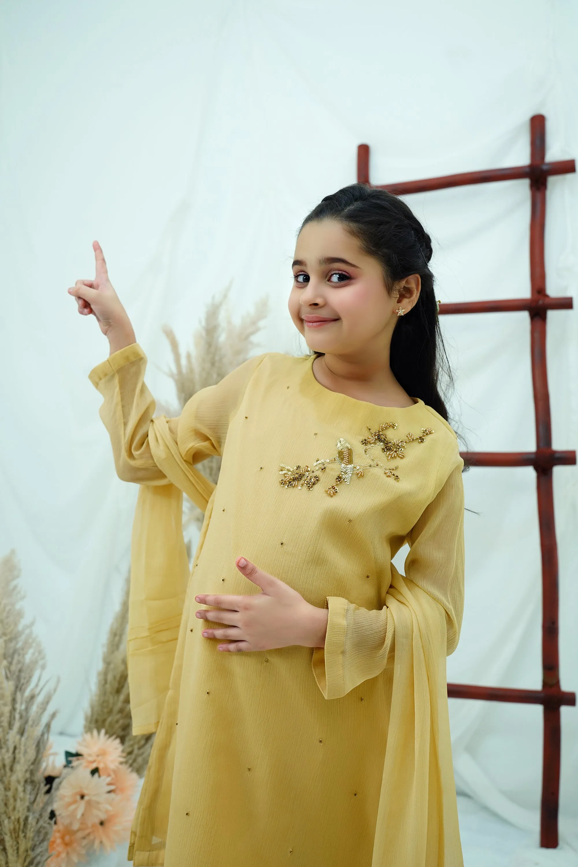Beige Embroidered Chiffon