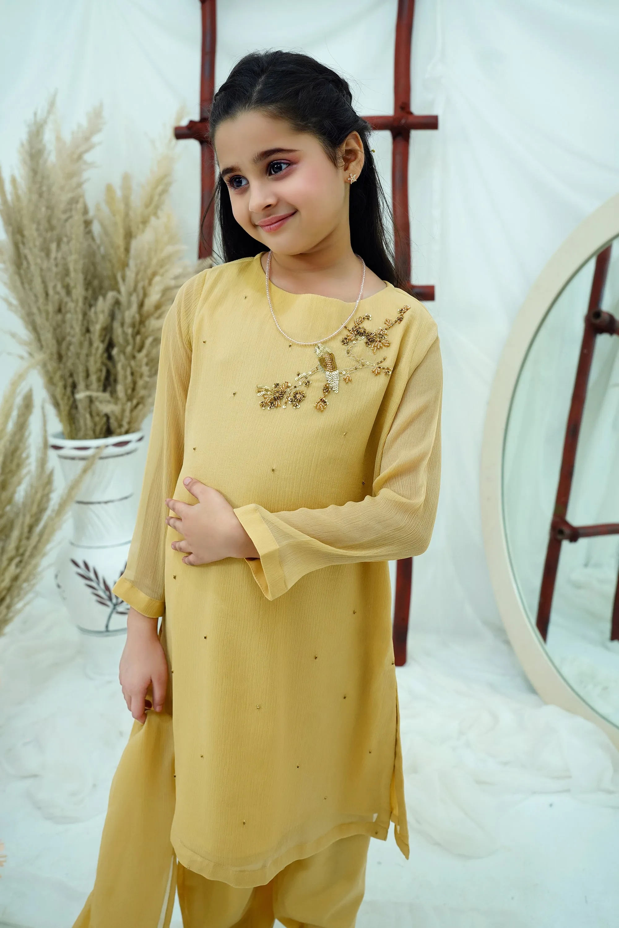 Beige Embroidered Chiffon