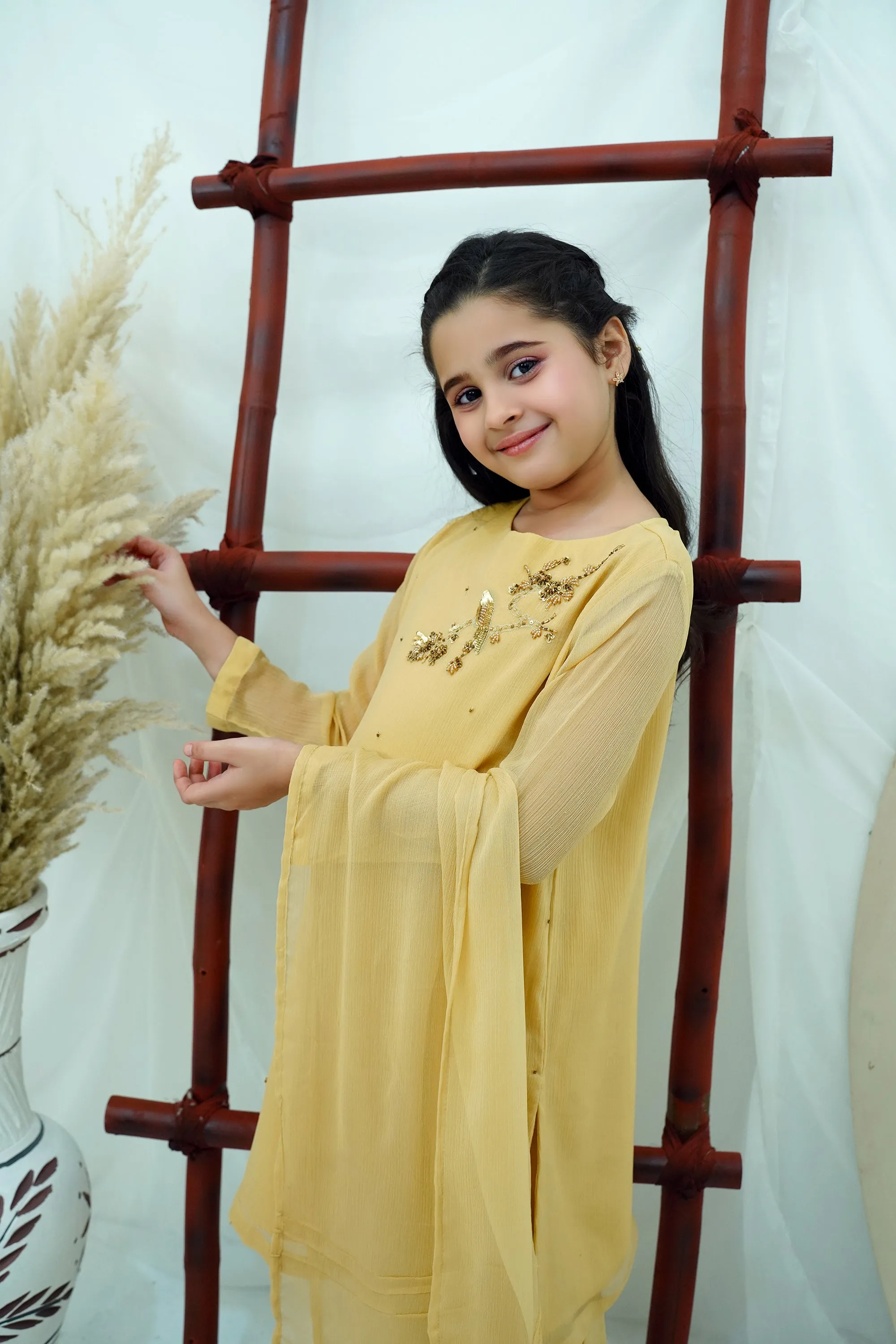 Beige Embroidered Chiffon