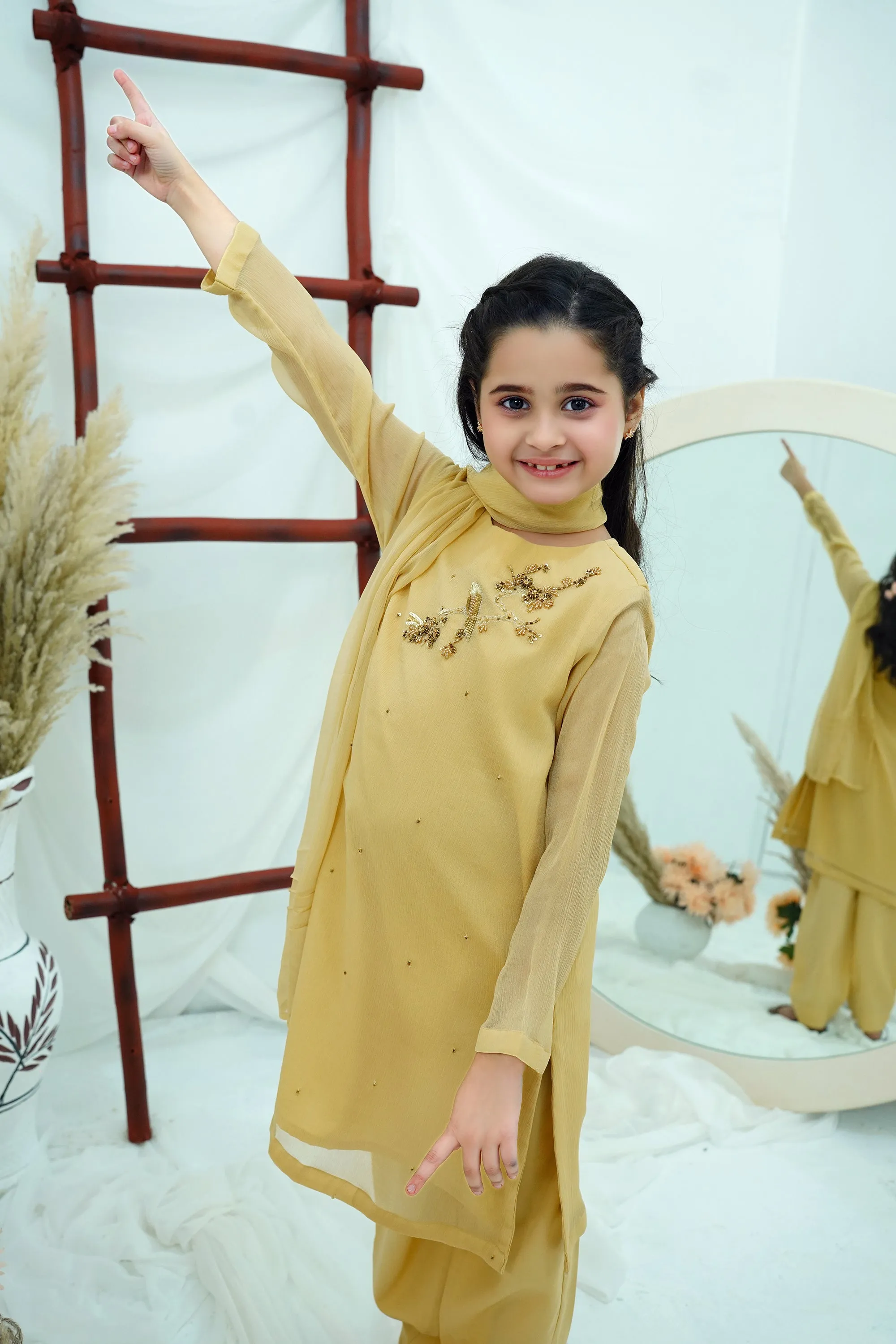 Beige Embroidered Chiffon