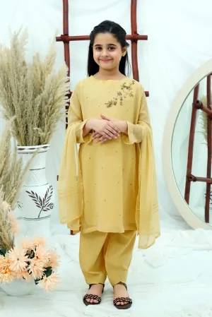 Beige Embroidered Chiffon