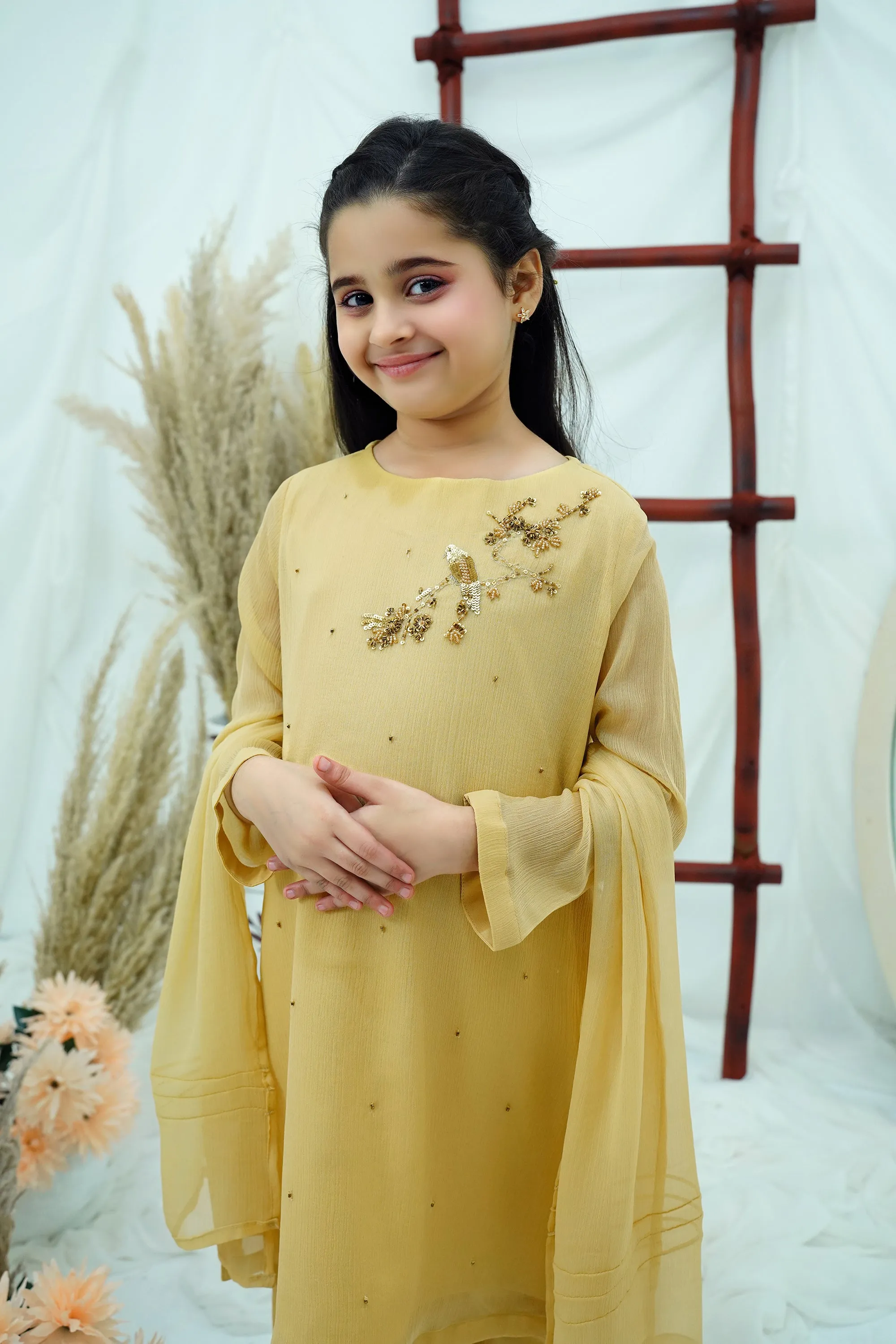 Beige Embroidered Chiffon