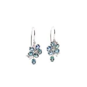 Blue Wisteria Earrings