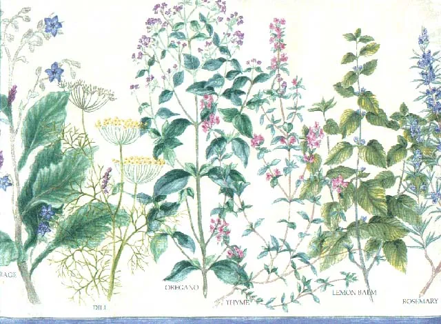 Botanical Herbs WL10850 Wallpaper Border