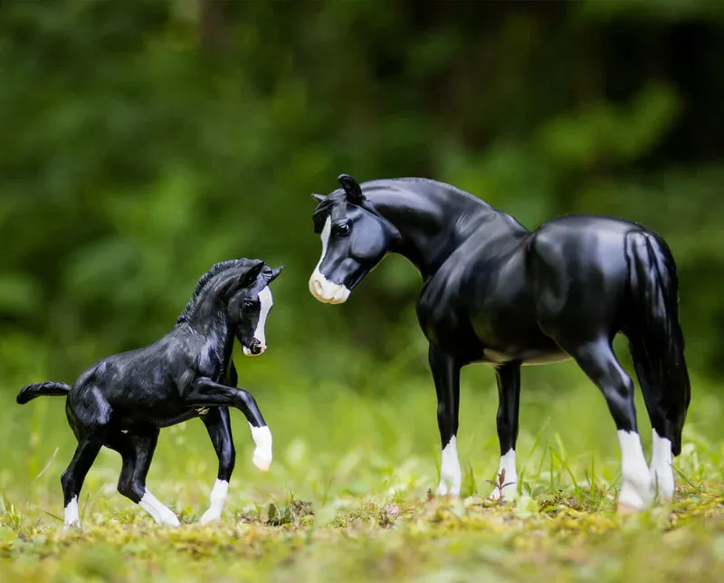 Breyer A Horse Of My Very Own Nistar Blazing Kansas LOM & GTF Blazing Ethel