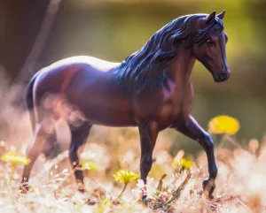 Breyer A Horse Of My Very Own Vivaldi de Besiln