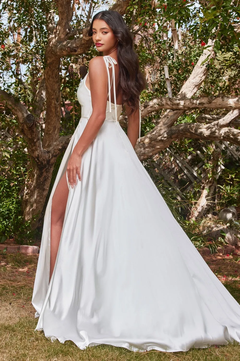 Cinderella Evening Dress BD104W