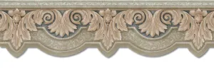 Classic Floral Ornament  NS71811DC Wallpaper Border