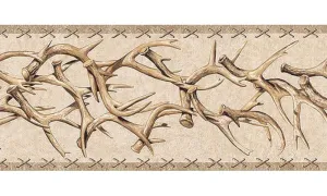 Country TA39016B Wallpaper Border