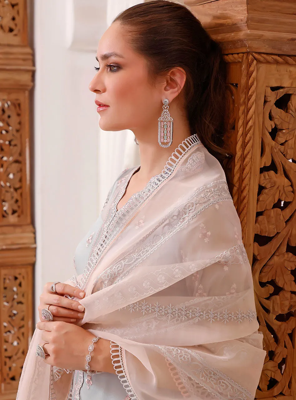 Embroidered Chiffon Salwar Kameez Pakistani Eid Dress