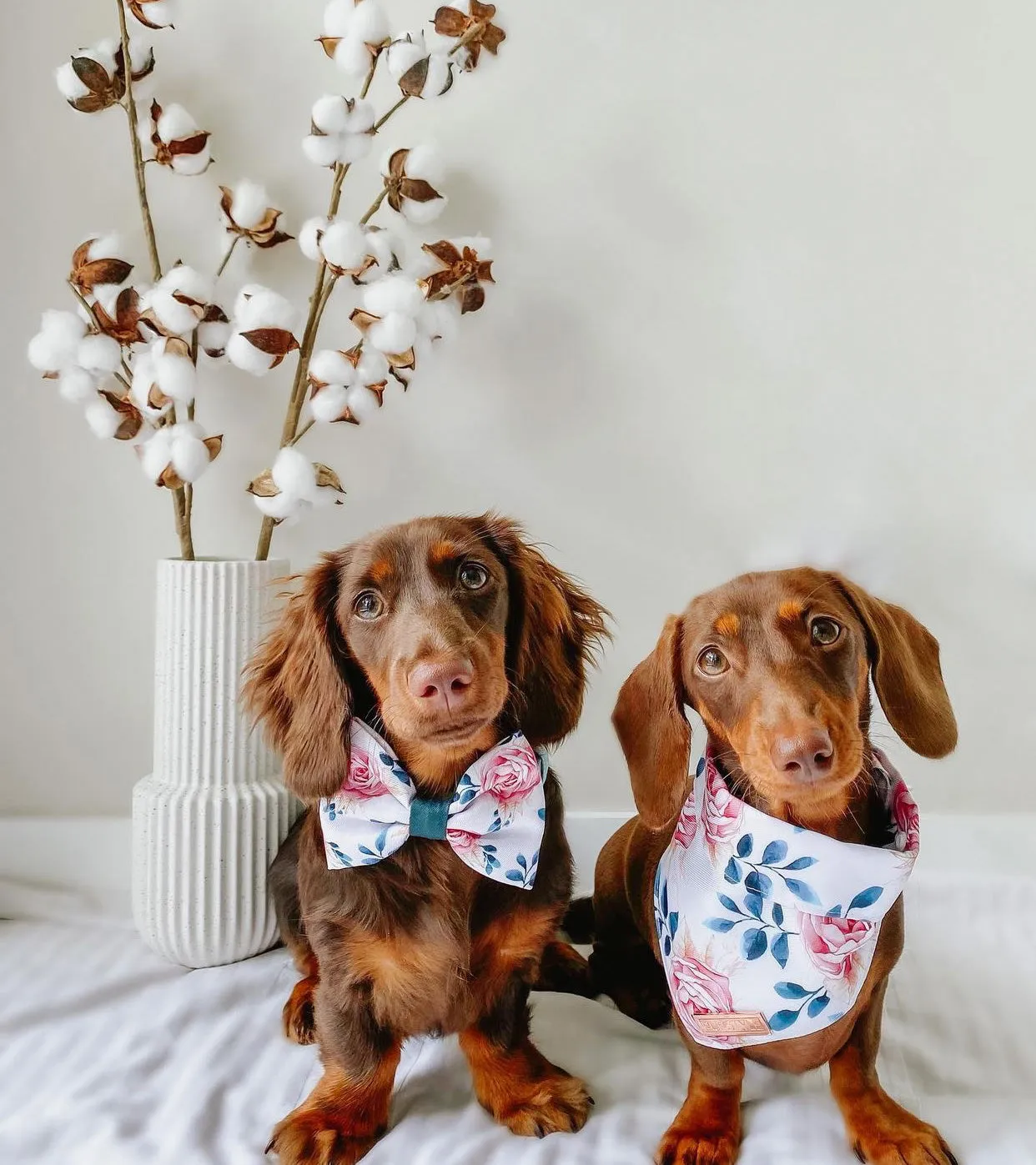 Fresh Blooms Bow