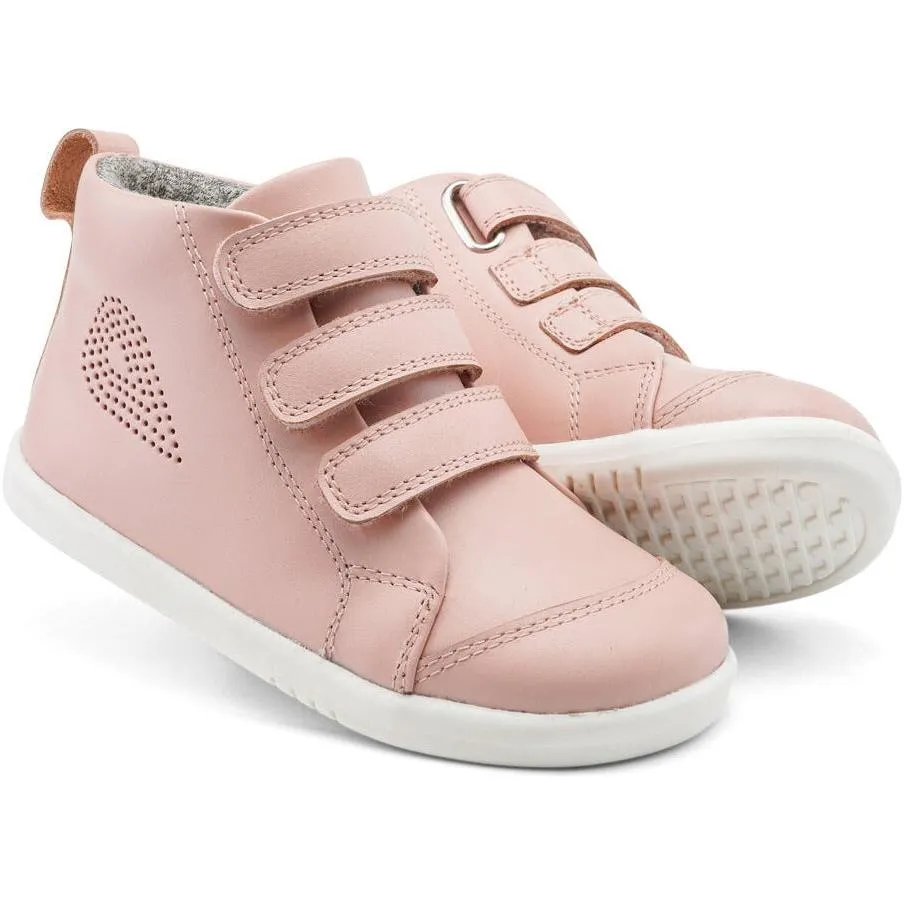 IW Hi Court Seashell