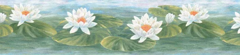 Lily Pond 332B39719 Wallpaper Border