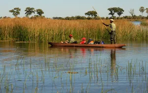 Mokoro Trips, Okavango Delta, Botswana