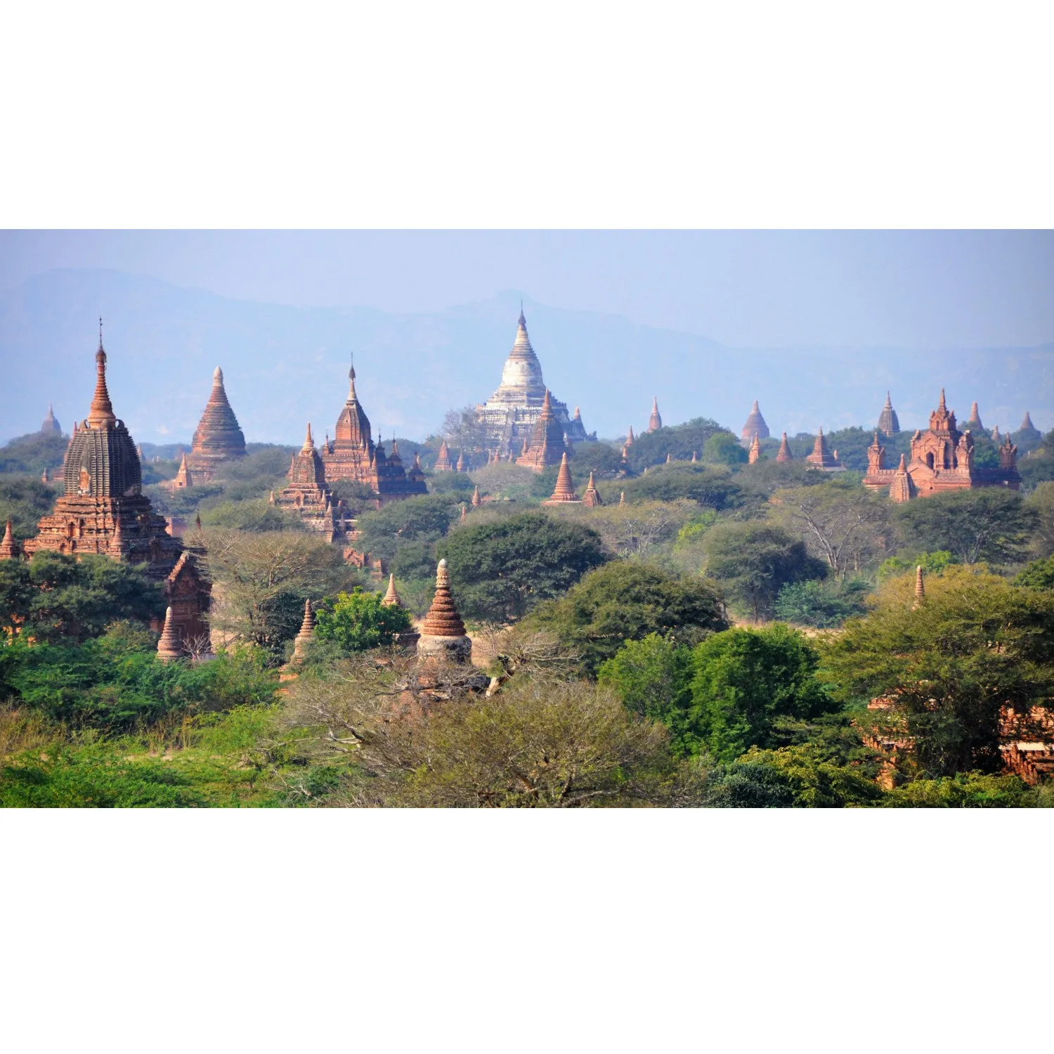 Myanmar Tote (by Aaron John)