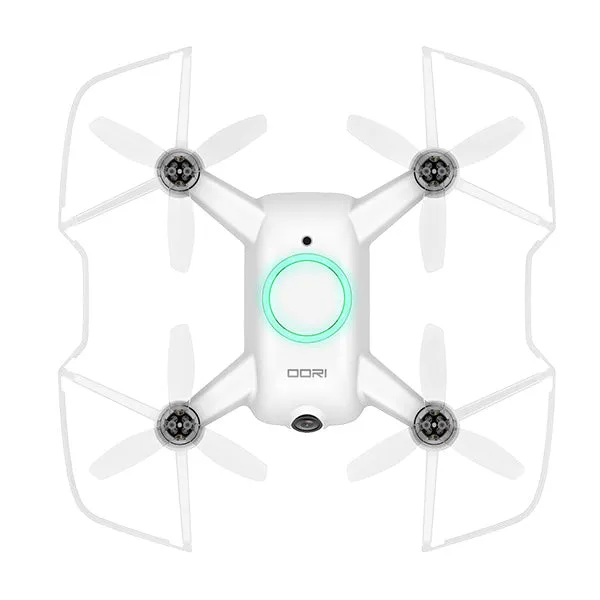 OOri with FPV Goggles