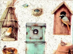 Outhouses MB4061B Wallpaper Border