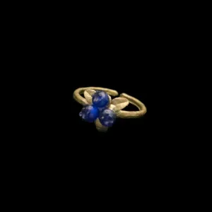 Petite Blueberry Ring by Michael Michaud