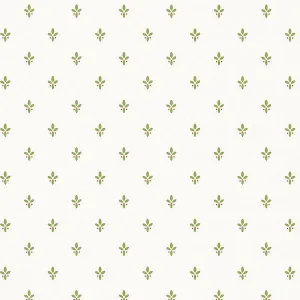 Red Green Country Spot FK26913 Wallpaper