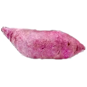 Watts Farms Sweet Potato Purple (Small) 1pc
