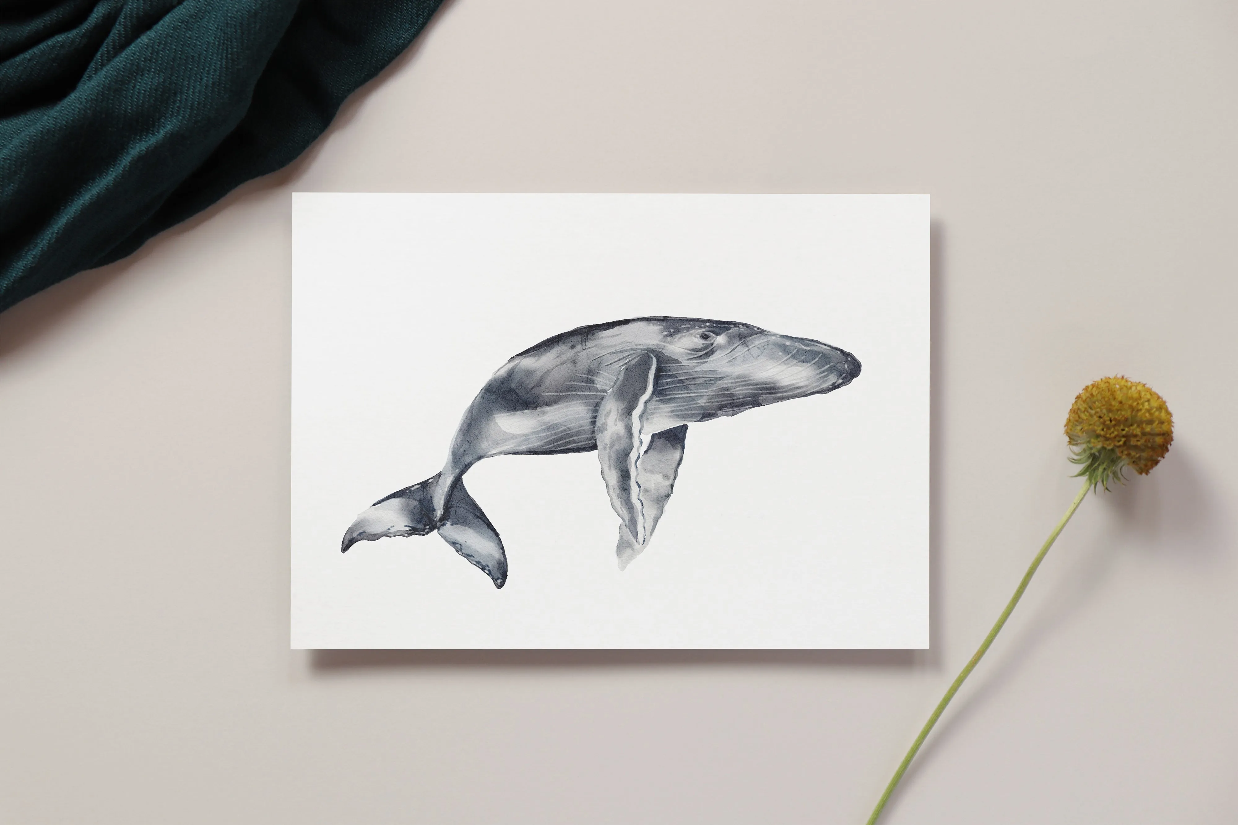 Whale Card – Elegant Watercolor Grey Whale with Gingham Background – Blank Inside for Your Own Wish – Perfect Ocean-themed Gift! | Preppy Coastal Collection